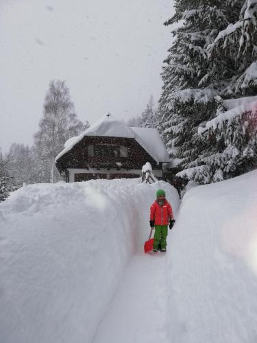Alpenhaus Ganser-Dixit en invierno