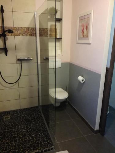 un bagno con WC e doccia in vetro di gîte papillon 4 a Civray-de-Touraine