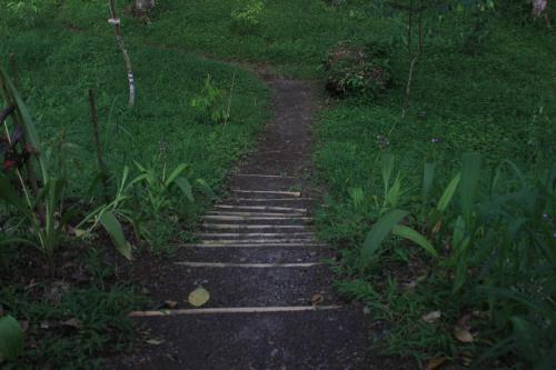 a path in the middle of a field with grass at Tereng Wilis Jungle Inn in Tetebatu