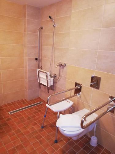 a bathroom with a toilet and a shower at Hotel Klar in Liptovský Mikuláš