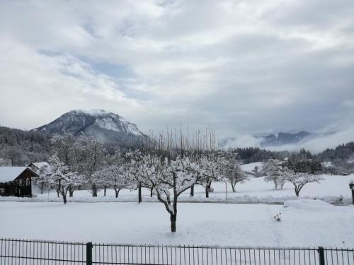 Paisaje cerca de este apartamento