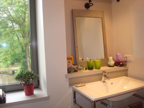 La salle de bains est pourvue d'un lavabo, d'un miroir et d'une fenêtre. dans l'établissement Gîte au Martin Pêcheur, à Laiz