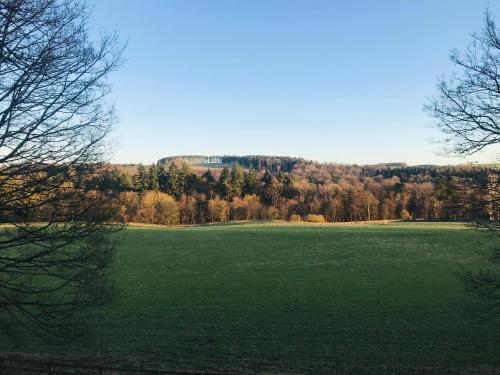 a large green field with trees in the background at The Bothy at Ivy Cottage in Haltwhistle