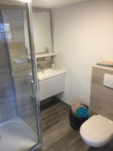 La salle de bains est pourvue d'une douche, de toilettes et d'un lavabo. dans l'établissement La Savoyarde, Chambre d'hôtes, à Annecy