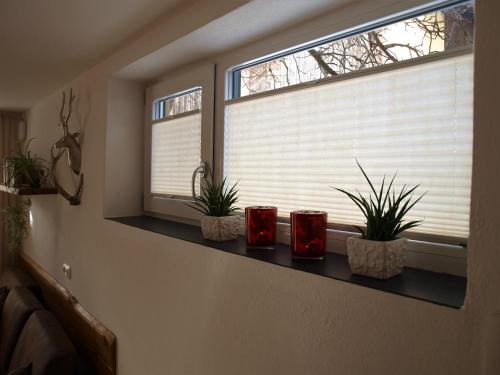 Galeriebild der Unterkunft Ferienwohnung Alpenblick in Kuchl