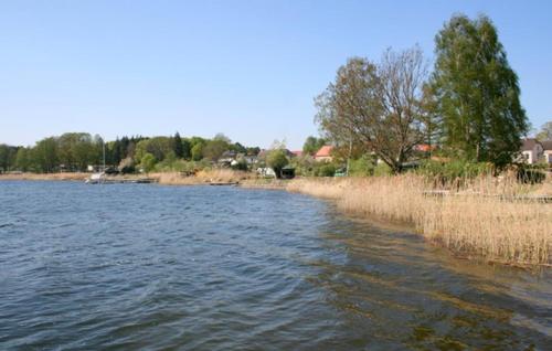 una gran masa de agua con hierba y casas en Ferienwohnung, en Canow