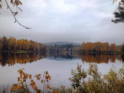 a view of a lake with trees reflecting in it at Holiday Village Tahko-Tours in Tahkovuori