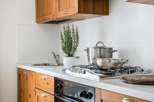 Η κουζίνα ή μικρή κουζίνα στο Apartments Mühlegg