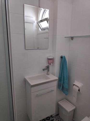 La salle de bains est pourvue d'un lavabo, de toilettes et d'un miroir. dans l'établissement Elena Apartmen, à Larnaka