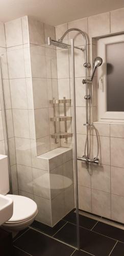 グレヘンにあるChalet Mutzのバスルーム(シャワー、トイレ付)