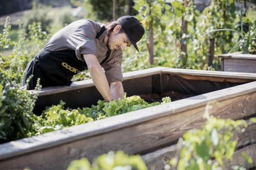 a man is working in a raised vegetable garden at Landhof Lazarus in Mooskirchen