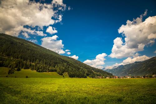 a green field with a green hill and trees at Urbangut in Sankt Michael im Lungau