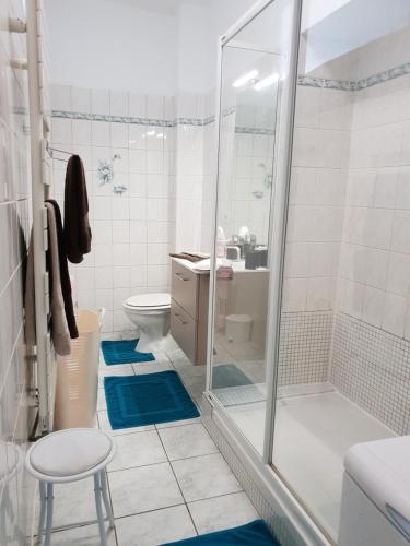 エクスレバンにあるAu Beau Siteのバスルーム(シャワー、青いマット付きトイレ付)