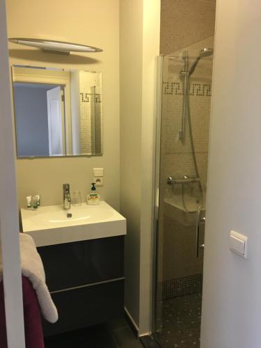 a bathroom with a sink and a shower at Guesthouse De Middelvelden in Arendonk
