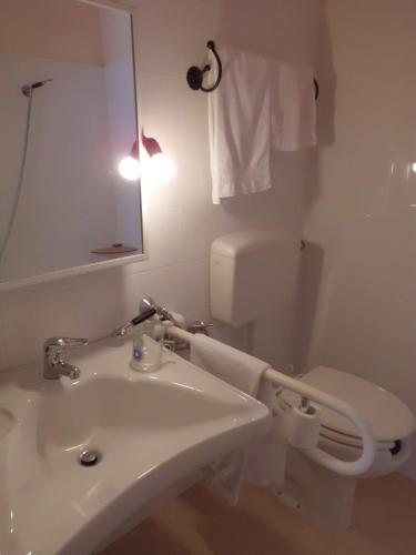 a bathroom with a sink and a toilet and a mirror at Etna Wine Azienda Agrituristica in Passopisciaro