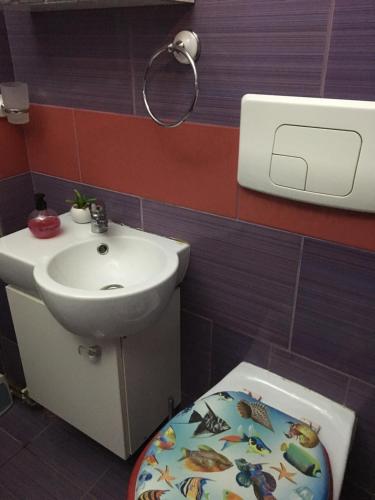 een badkamer met een wastafel en een toilet met een toiletbril bij Small Studio2 in Sibiu