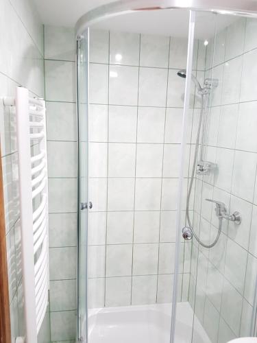 a shower with a glass door in a bathroom at Willa RYŚ in Krynica Zdrój