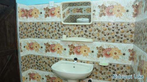a bathroom with a sink and a mirror at Niduwari Lake Homestay in Dambulla