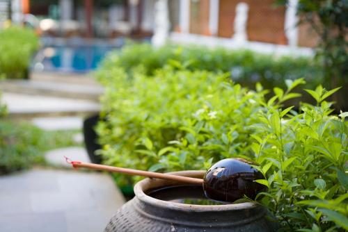 a vase with a ball and a wooden spoon in it at Green Grapefruit Villa in Hoi An