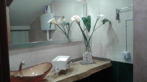 GreenColors Hotel Image