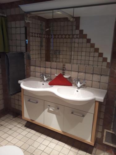 a bathroom with a sink and a mirror at Ferienhaus Schnider in Galgenul