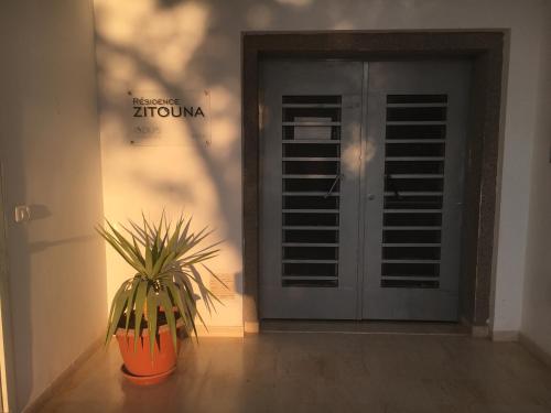 une usine assise devant une porte dans l'établissement Appartement simple et propre, à Sfax
