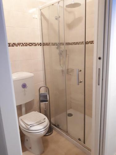 a bathroom with a toilet and a glass shower at Comfort Murano room in Murano