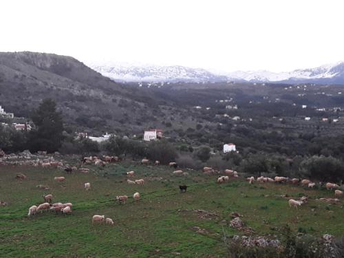 Φυσικό τοπίο κοντά σε αυτός ο ξενώνας