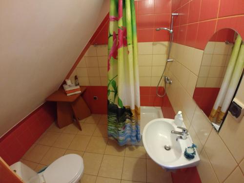 Koupelna v ubytování Apartament Nad Dunajcem