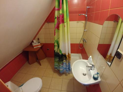 a bathroom with a sink and a shower and a toilet at Apartament Nad Dunajcem in Sromowce Niżne