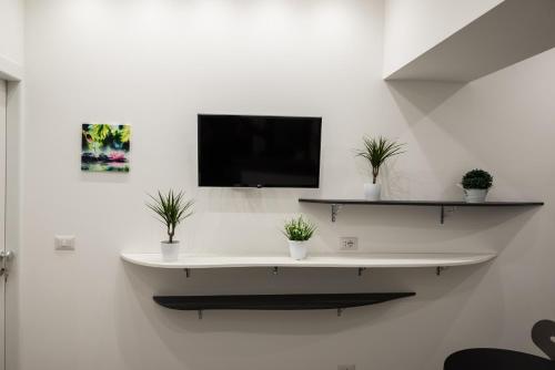 a white wall with a tv and plants on it at B&B Elegance in Taormina