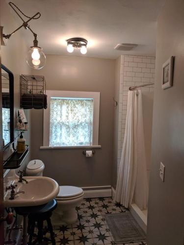 a bathroom with a sink and a toilet and a window at Burdett House Bed & Breakfast in Burdett