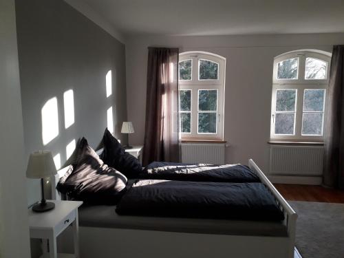 1 dormitorio con 2 camas y 2 ventanas en Ferienwohnung ehemalige Revierförsterei "Morgensünn" en Kuhstorf