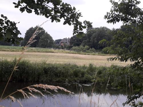a view of a field from a river with trees at Ferienwohnung ehemalige Revierförsterei "Morgensünn" in Kuhstorf