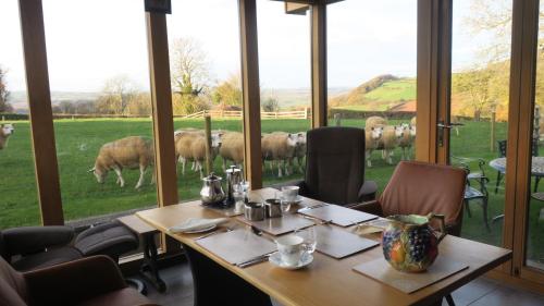 a table in a restaurant with a view of a herd of sheep at Highfield in Hay-on-Wye