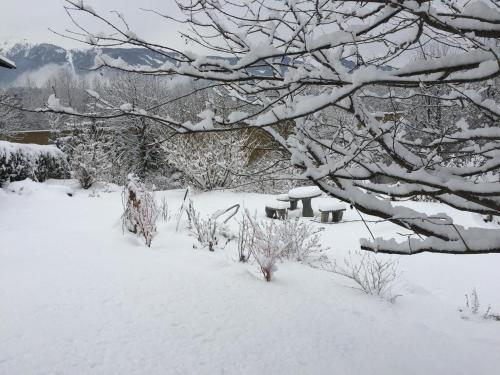 a picnic table covered in snow next to a tree at Arcana Apartment in Seeboden