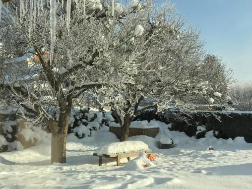 a bench in the snow next to two trees at Haus Nohra in Sankt Michael im Lungau