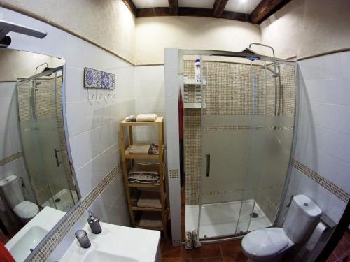 a bathroom with a shower and a sink and a toilet at Apartamento los arcos in Cobisa