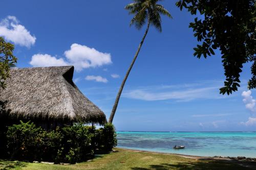 Paisaje cerca de este hotel