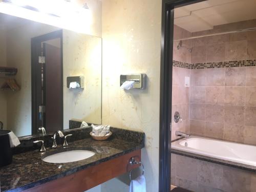 a bathroom with a sink and a tub and a mirror at Acorn Motor Inn in Oak Harbor