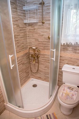 a shower in a bathroom with a toilet at Holiday Home Zavala in Klek
