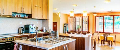 Guest House Panorama 3D في فارشيتس: مطبخ مع حوض و كونتر توب
