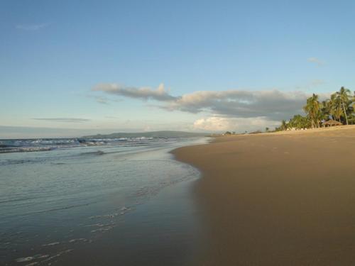 a sandy beach with the ocean and palm trees at Paraiso del Pescador in Rincon de Guayabitos