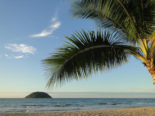 a palm tree on a beach with the ocean at Paraiso del Pescador in Rincon de Guayabitos