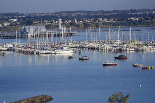 a bunch of boats are docked in a harbor at The Beach House Apartment in Geelong
