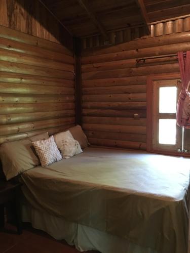 a bed in a log cabin with a window at Hospedaje en el Lago in Peña Blanca