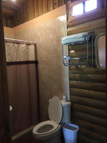 a bathroom with a toilet and a shower at Hospedaje en el Lago in Peña Blanca
