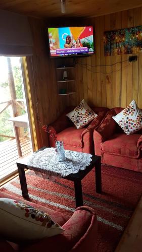 un soggiorno con divano e tavolino da caffè di Cabañas Emma Maicolpue a Osorno