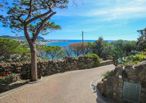 a stone wall and a tree next to a walkway at Villa Caruso in Ischia