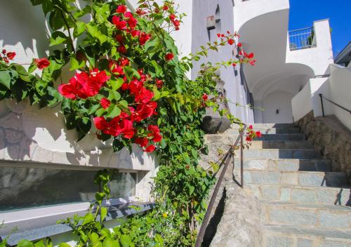 a bunch of red flowers hanging on a wall at Villa Caruso in Ischia